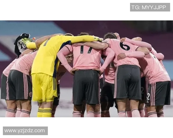 谢菲尔德联对阵纽卡斯尔精彩视频回顾与赛后分析